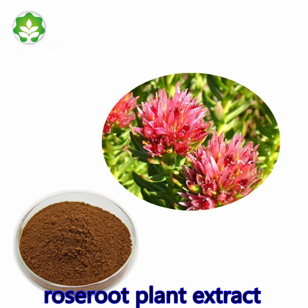 rhodiola roanensis extract increasing body_s resistance